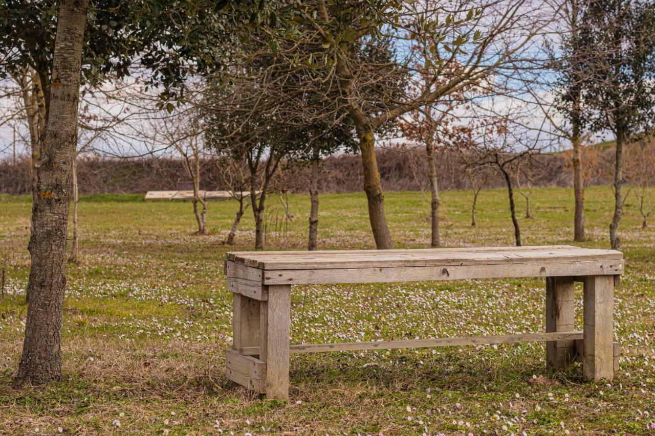 Appartamento Il Fienile di Margherita Vicchio Esterno foto