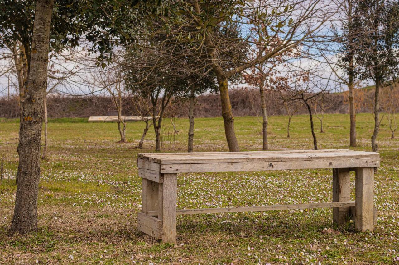 Il Fienile di Margherita Vicchio Esterno foto