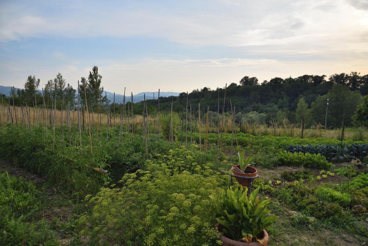 Appartamento Il Fienile di Margherita Vicchio Esterno foto