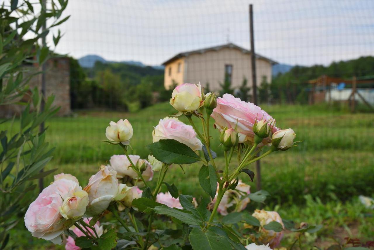 Appartamento Il Fienile di Margherita Vicchio Esterno foto