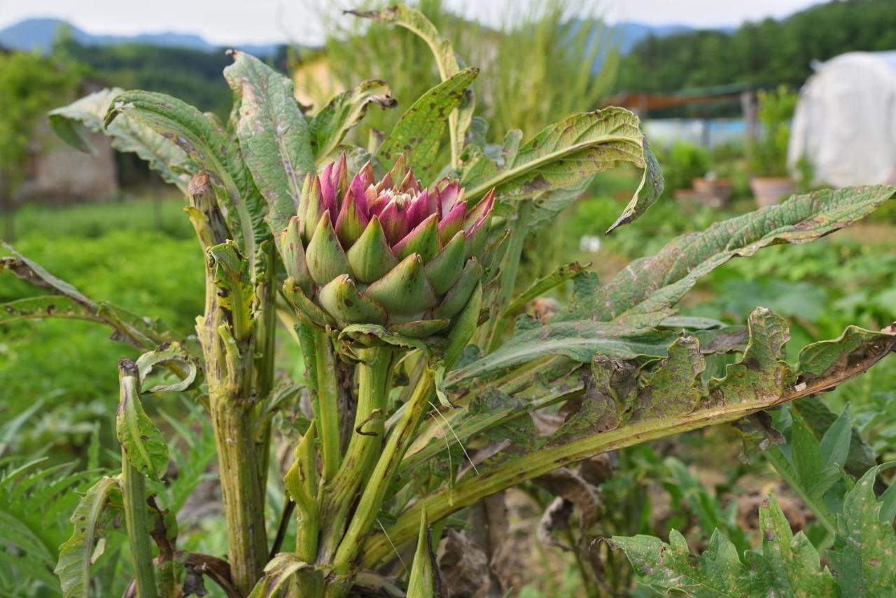 Appartamento Il Fienile di Margherita Vicchio Esterno foto