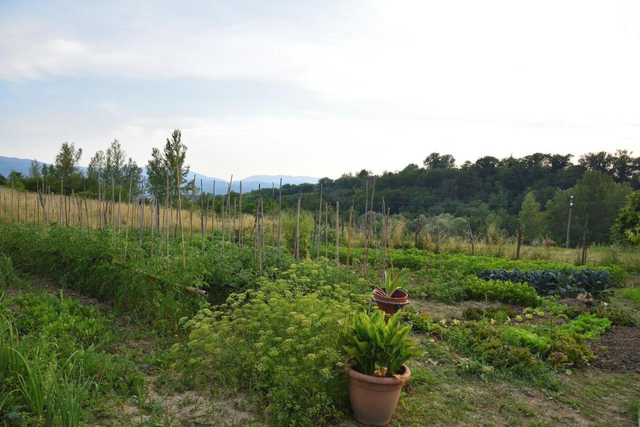 Appartamento Il Fienile di Margherita Vicchio Esterno foto