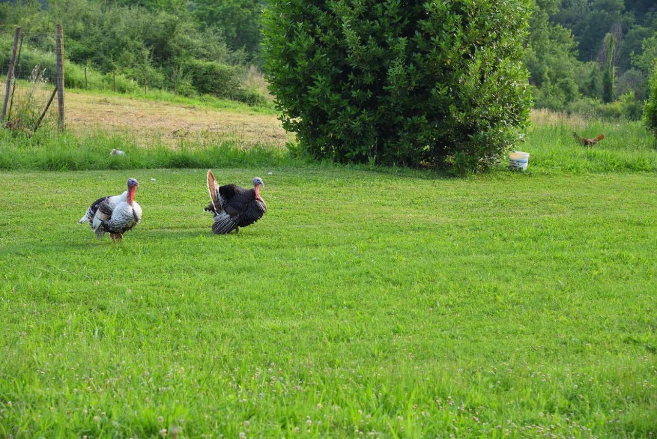 Appartamento Il Fienile di Margherita Vicchio Esterno foto