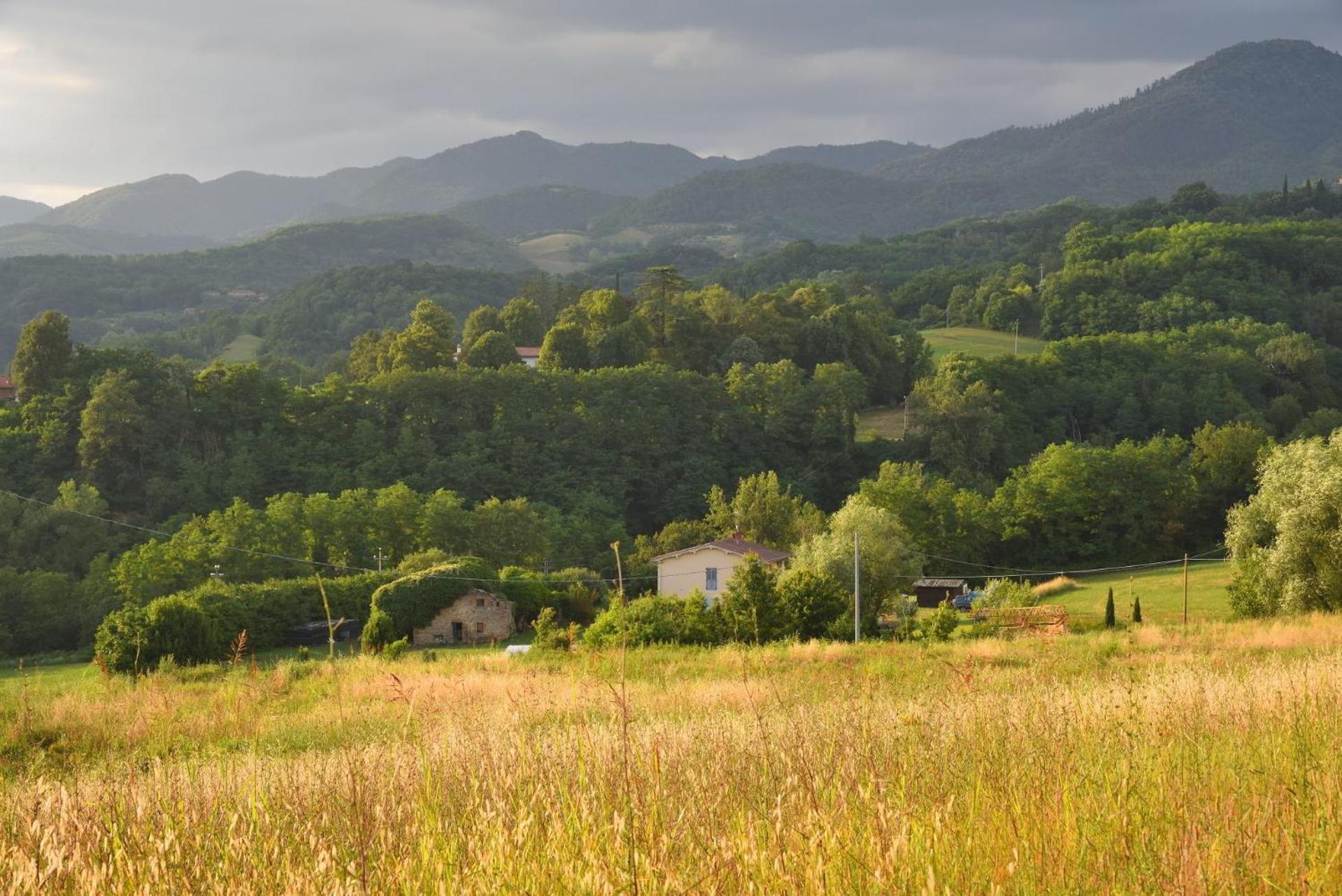 Appartamento Il Fienile di Margherita Vicchio Esterno foto