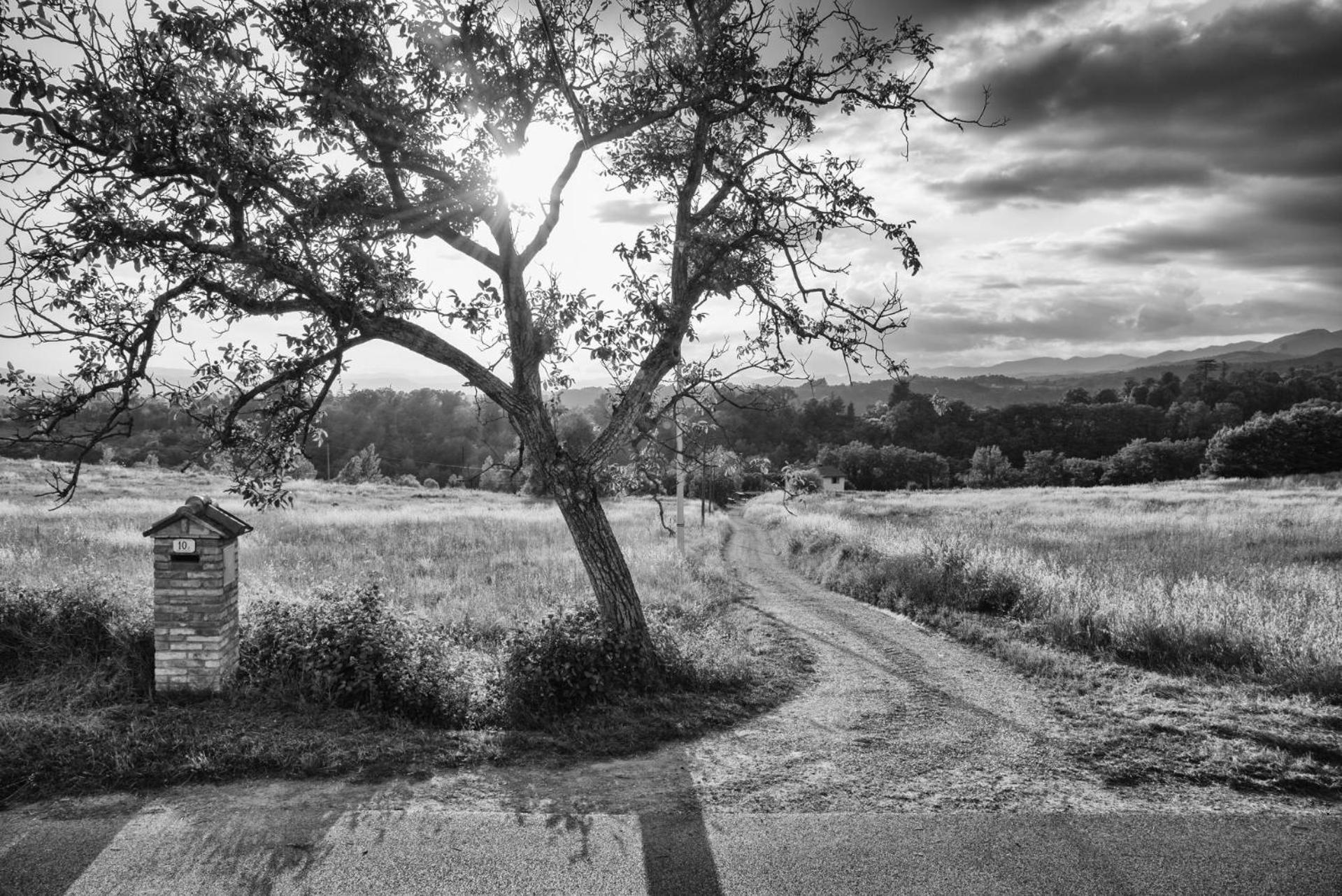 Appartamento Il Fienile di Margherita Vicchio Esterno foto